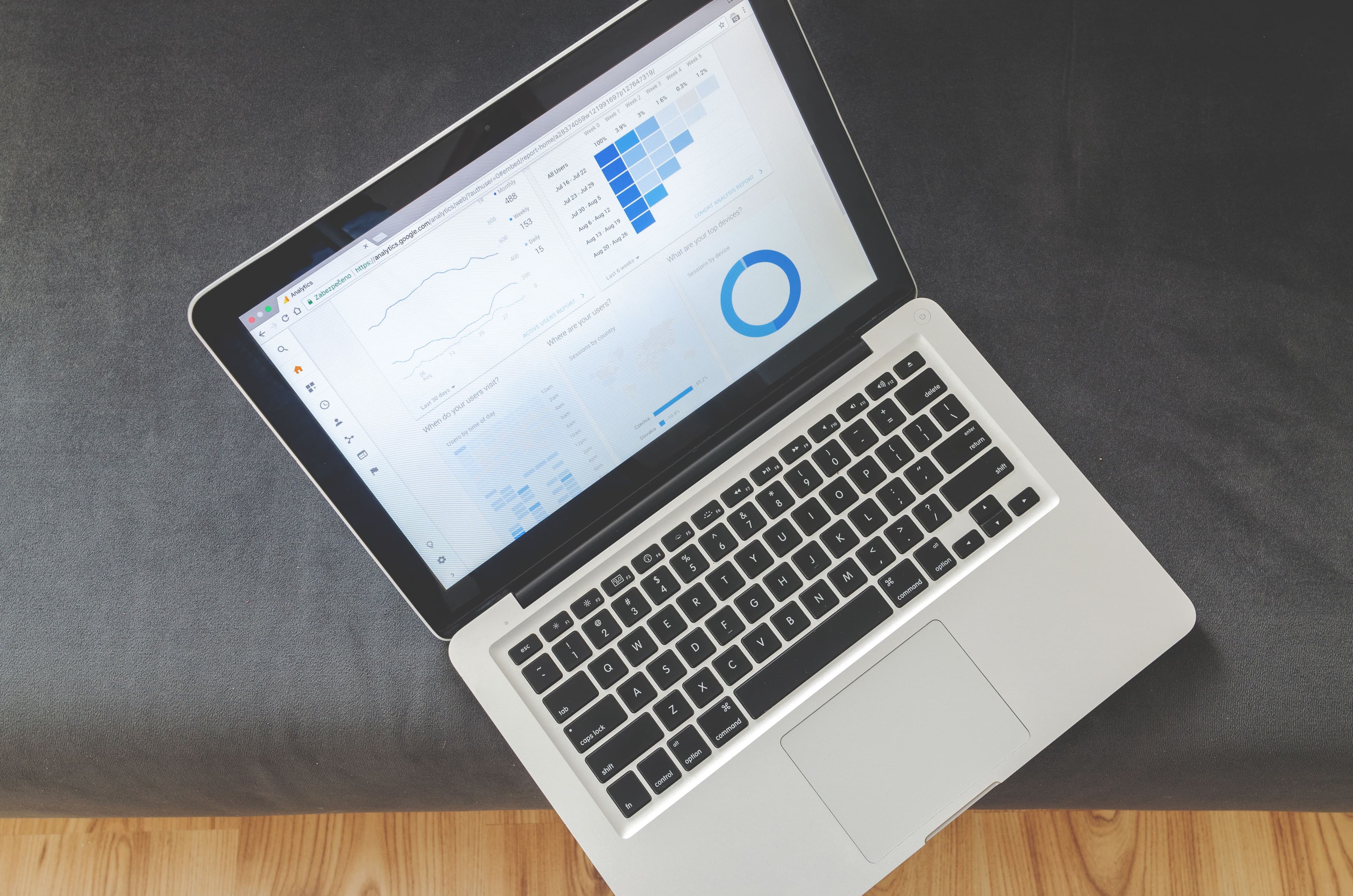 Business owner reviewing SEO analytics
